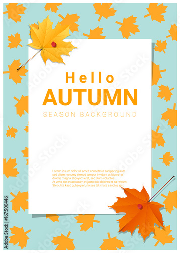 Blank poster on autumn theme background , vector , illustration