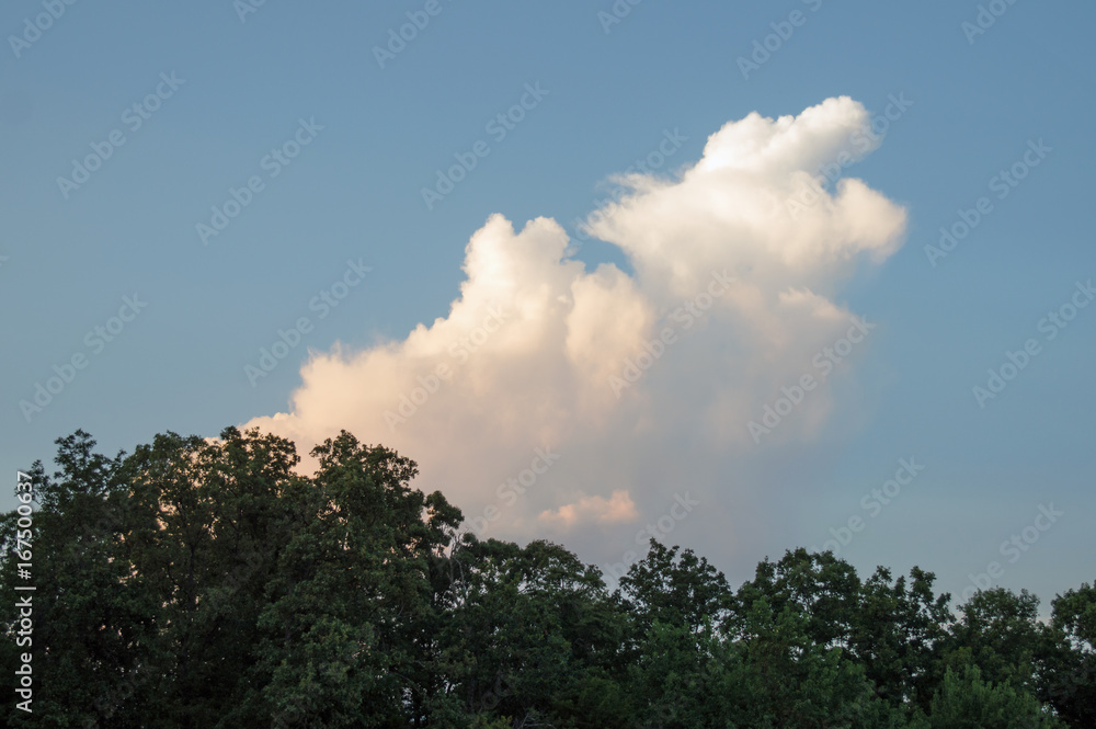 A white cloud in the blue skies looks almost like a puff from the tree tops A white cloud in the blue skies looks almost like a puff from the tree tops