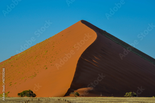 D  nen in der Namib