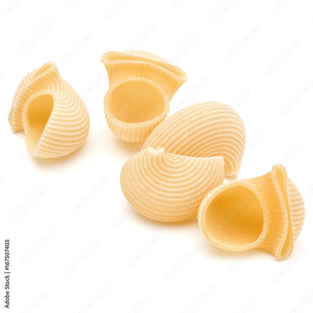 Italian lumaconi isolated on white background. Lumache, snailshell shaped pasta. Italian lumaconi isolated on white background. Lumache, snailshell shaped pasta.