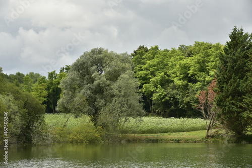 Contrastes entre le vert de la for  t et du champ de tournesols avec les nuages gris fonc  s  au bout de l   tang aux eaux couleur kaki  pr  s de Vendoire au P  rigord Vert 