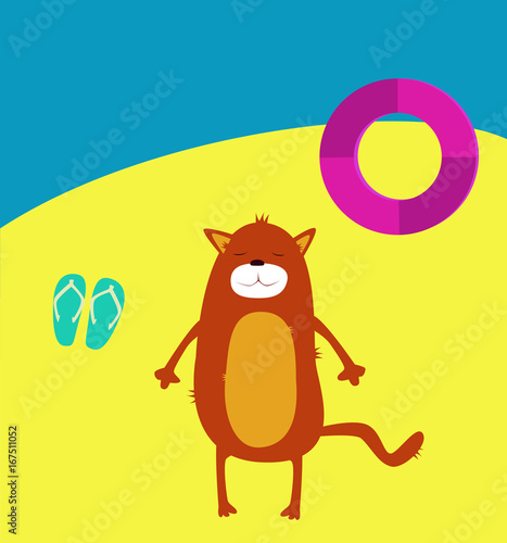 Cat on the beach