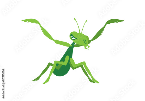 Praying mantis vector. Mantis icon isolated on white background
