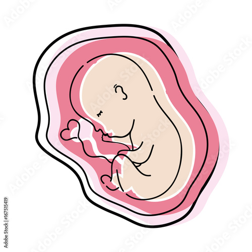 baby with umbilical cord inside uterus