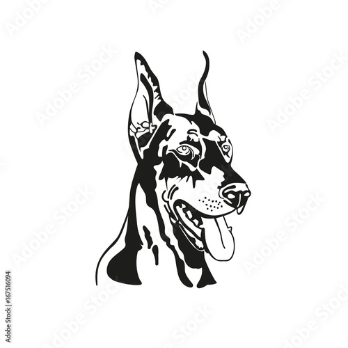 Vector image of head dog Doberman. Black and white silhouette.