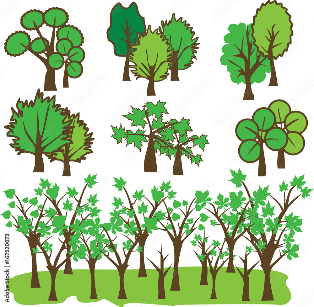 Fototapeta premium Tree Clip Art