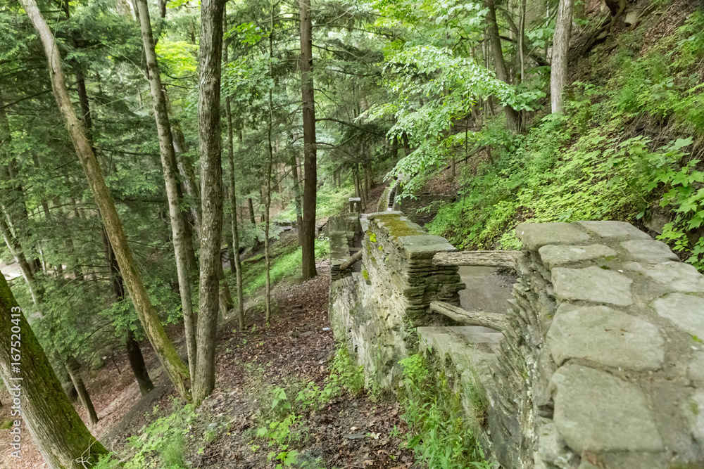 Stone staircase in a forest after a rainstorm Stone staircase in a forest after a rainstorm