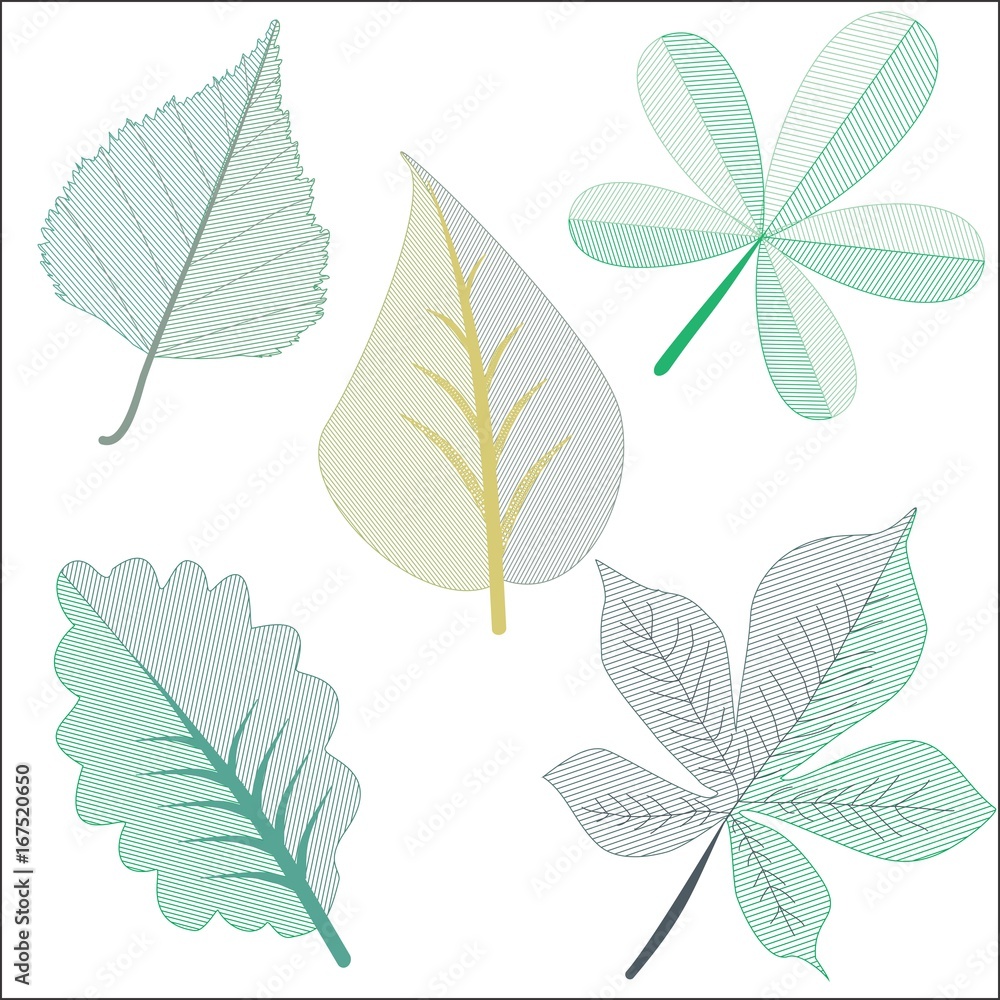 Different Leafs in Clip Art. Different Leafs in Clip Art.