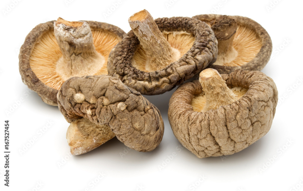 Dried Shiitake Mushroom isolated on white background Dried Shiitake Mushroom isolated on white background