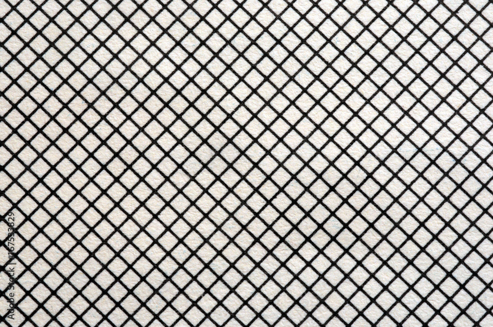 Fototapeta premium 167533829