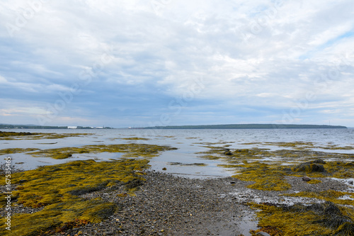 Maine scene