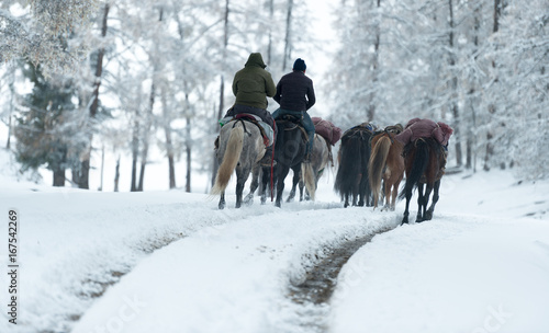 drive horses in the winter