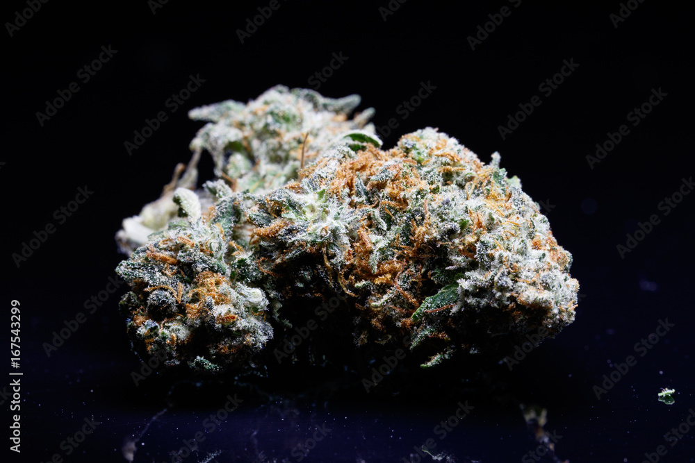 cannabis bud cannabis bud