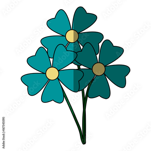 bunch flower petal decoration natural ornament vector illustration