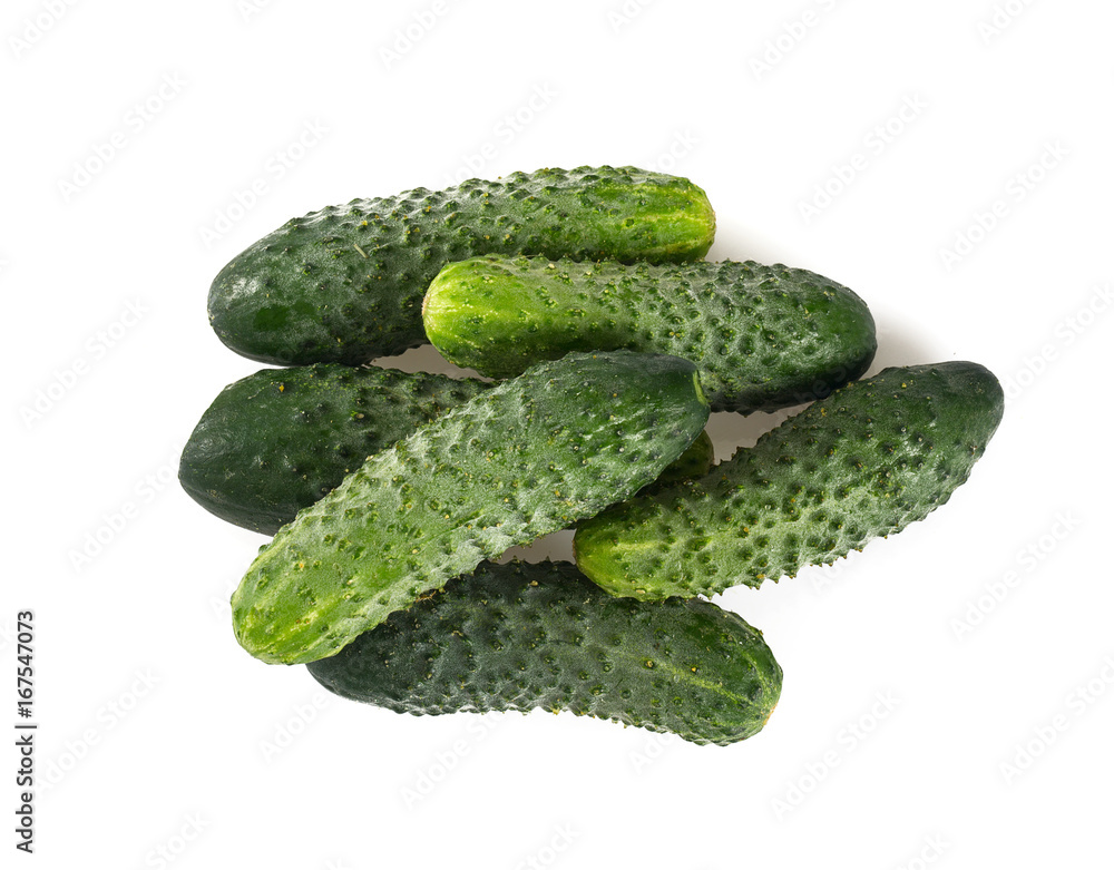 cucumber isolated on white cucumber isolated on white