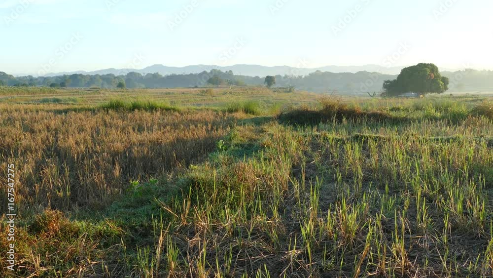 Morning farmland landscape with mountains in the Philippines Morning farmland landscape with mountains in the Philippines
