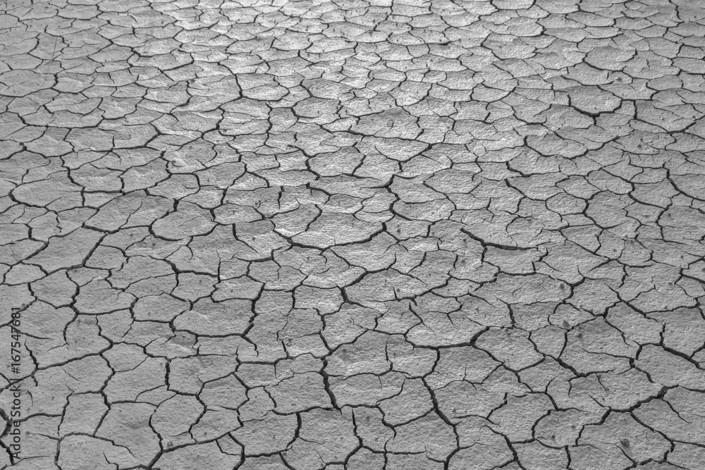 Black and white dry soil with crack texture of natural background Black and white dry soil with crack texture of natural background