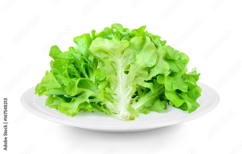 Lettuce in plate on white background Lettuce in plate on white background