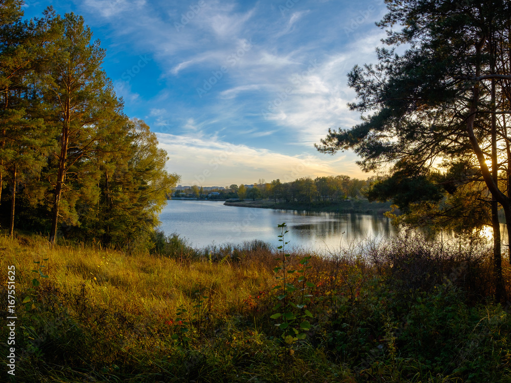 Forest and river