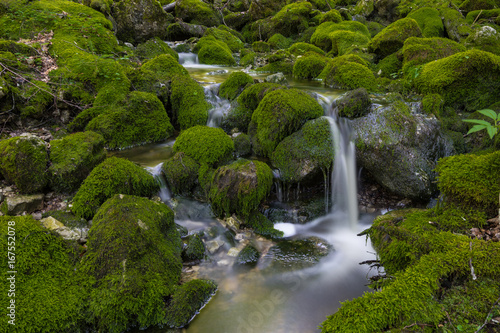 Wasserfall mit Moos