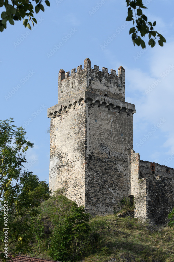 Fototapeta premium Burgruine Weitenegg in der Wachau von Niederösterreich