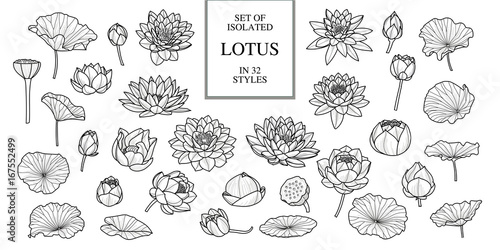 Set of isolated lotus in 32 style. Hand drawn style. Vector illustration