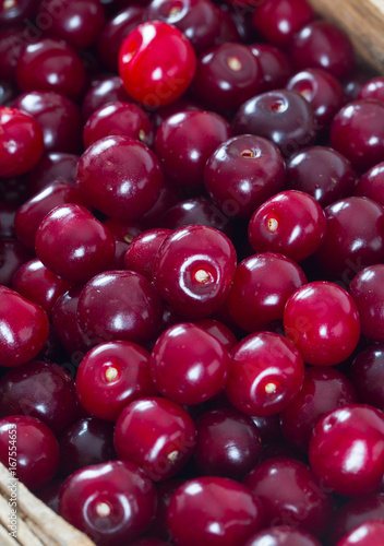 sour cherry background