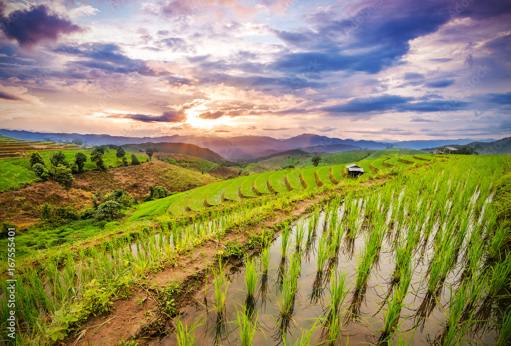 Terrace rice field over the mountain range and beautiful twilight sunset, Light shining through mountain