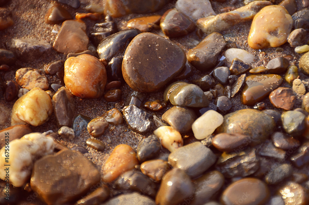 Wet stones at river coastline. Background, texture, toned Wet stones at river coastline. Background, texture, toned