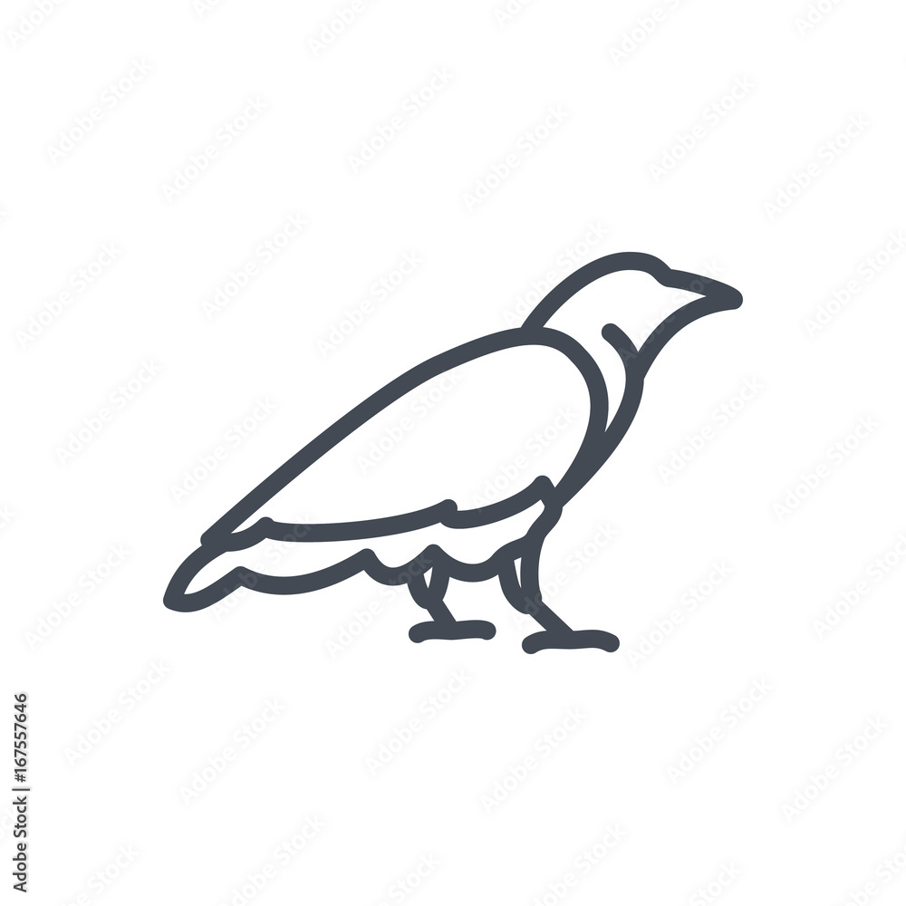 Obraz premium Halloween holiday line icon raven animal bird