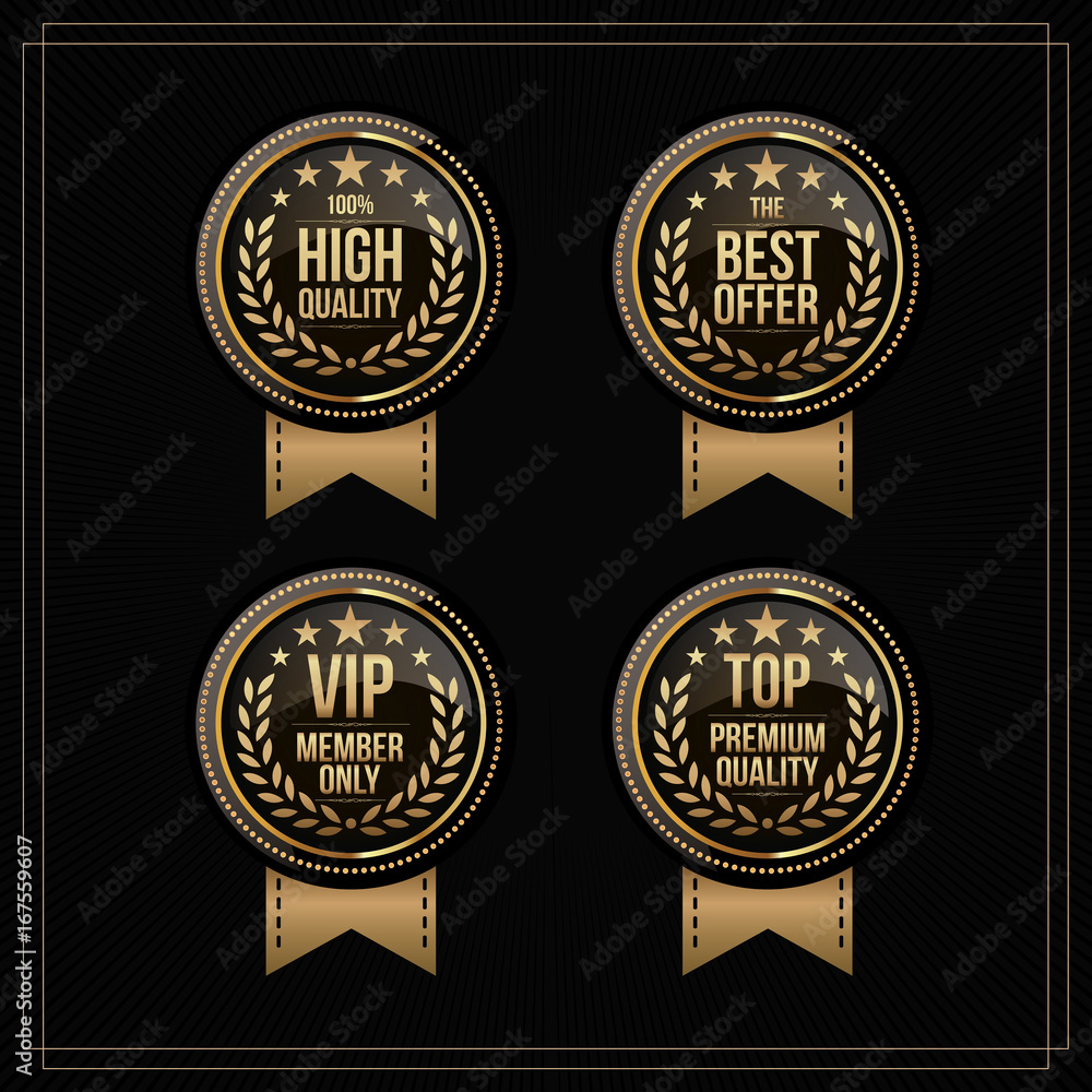 Vector vintage badges collection 