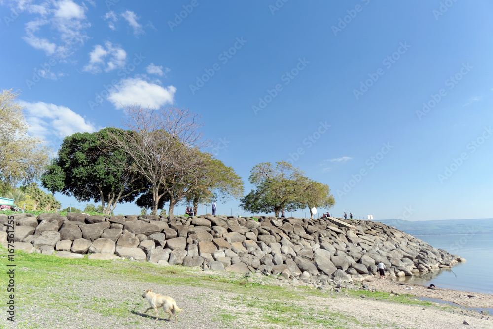 Tourists are walking on the shore on the stone embankment of the Sea of Galilee in Israel