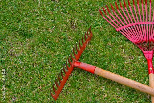 Red garden rakes on the grass in the summer garden. 