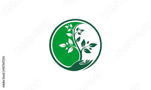 tree logo