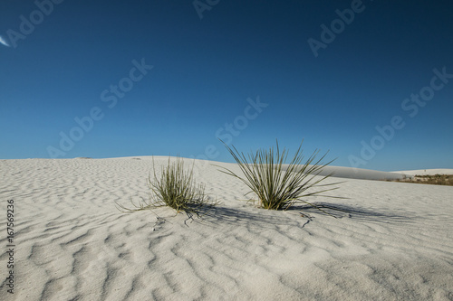 White Sands