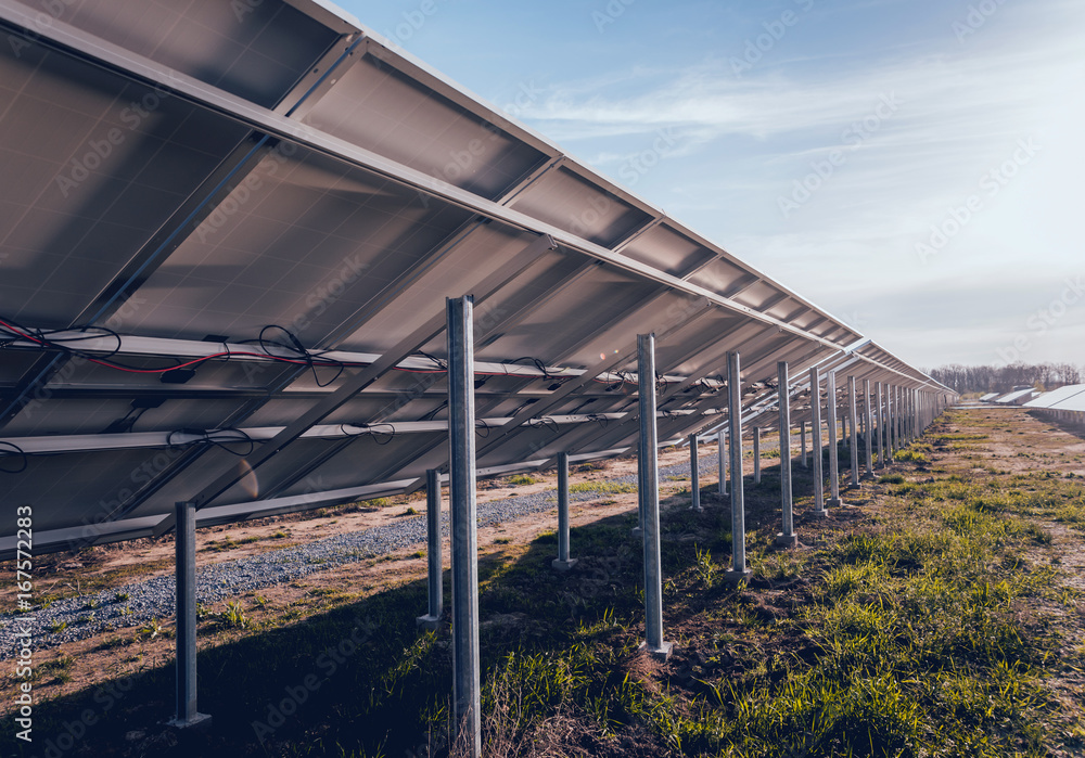 Obraz premium Solar panels, photovoltaic, alternative electricity source