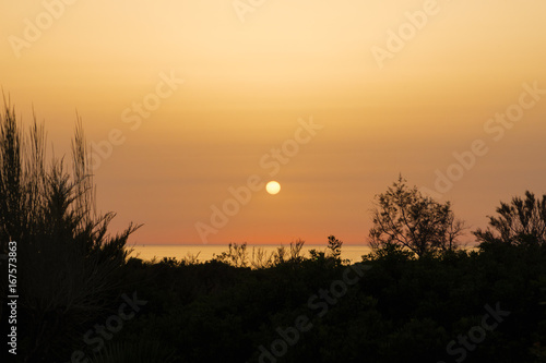 Silhouettes at sunset on the beach of La Barrosa, Sancti Petri, Cadiz, Spain