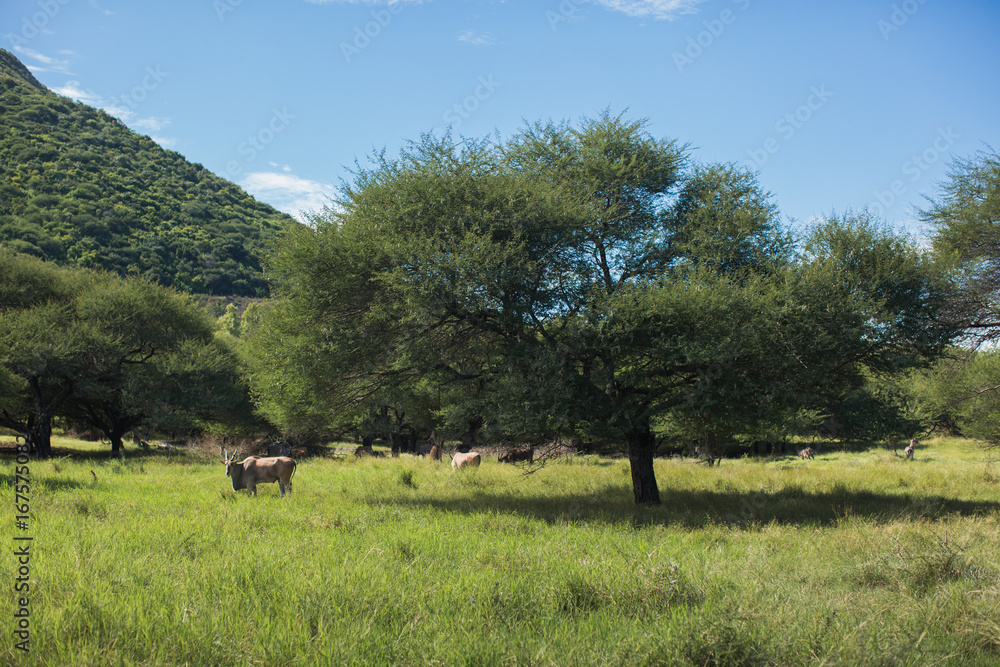 Obraz premium Travel To Mauritius