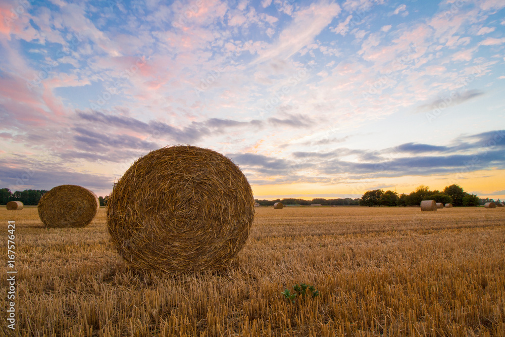 Goldene Strohballen nach der Ernte im Spätsommer in der Abenddämmerung 