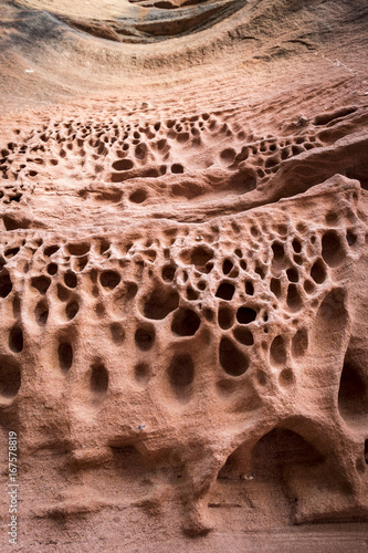 Tafoni weathering in red sandstone  photo