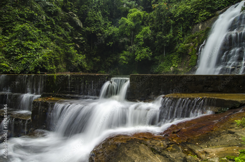 Obraz premium Beautiful in nature landscape, waterfall stream surrounded by green tropical green forest