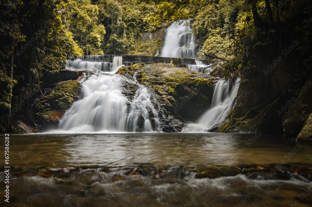 Fototapeta premium fantacy and mistic effect.Beautiful in nature landscape, waterfall stream surrounded rain forest