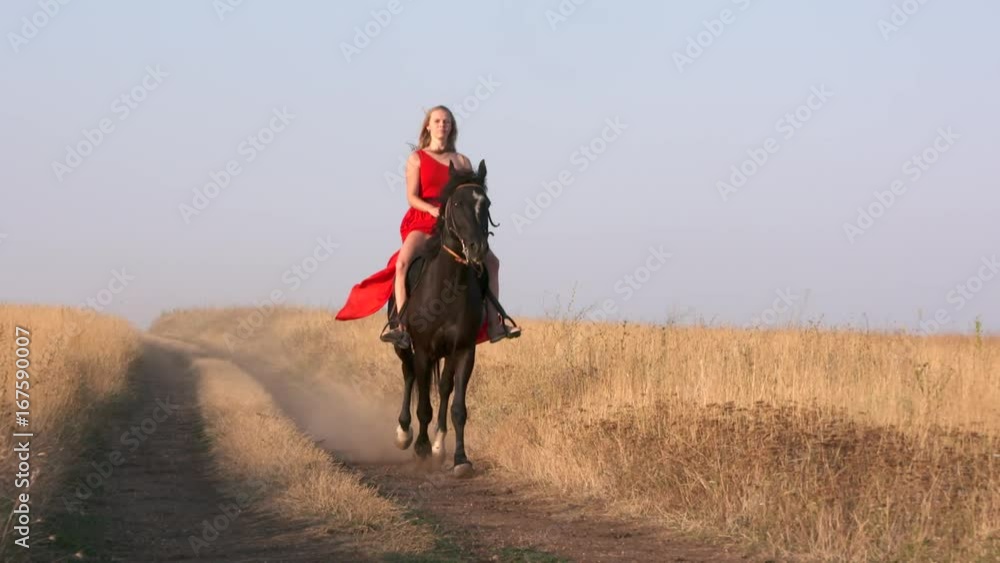 Young girl in long red dress riding black horse on path across dry grassland. Beautiful female rider rides galloping stallion in slow motion. Girl's bright gown blowing in the wind. Young girl in long red dress riding black horse on path across dry grassland. Beautiful female rider rides galloping stallion in slow motion. Girl's bright gown blowing in the wind.