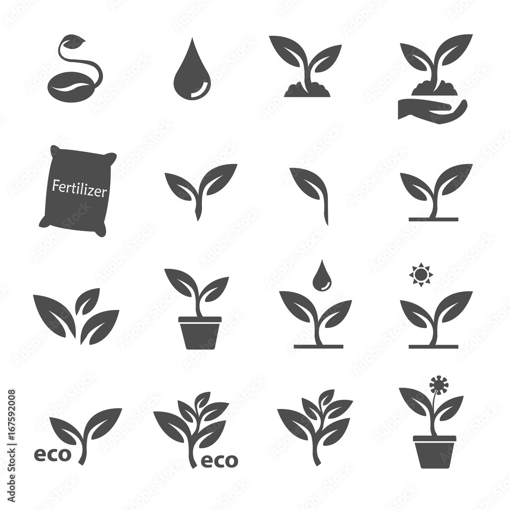 plant and leave icons set vector