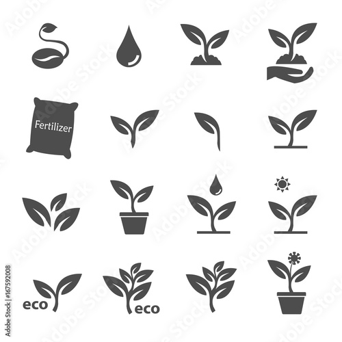 plant and leave icons set vector