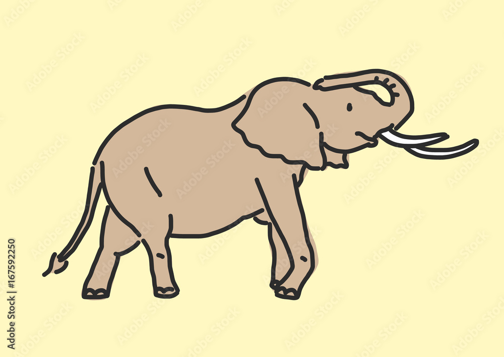 Fototapeta premium Elephant line drawing. hand drawn. vector illustration.