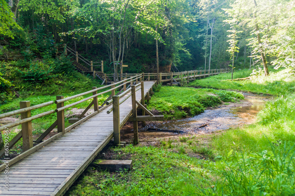 Boardwalk in Gauja National Park, Latvia Boardwalk in Gauja National Park, Latvia