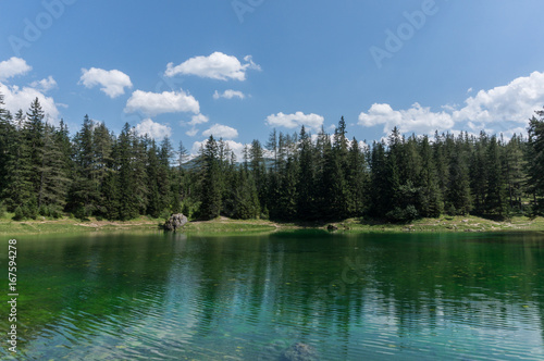 Forest on the shore of a green alpine lake