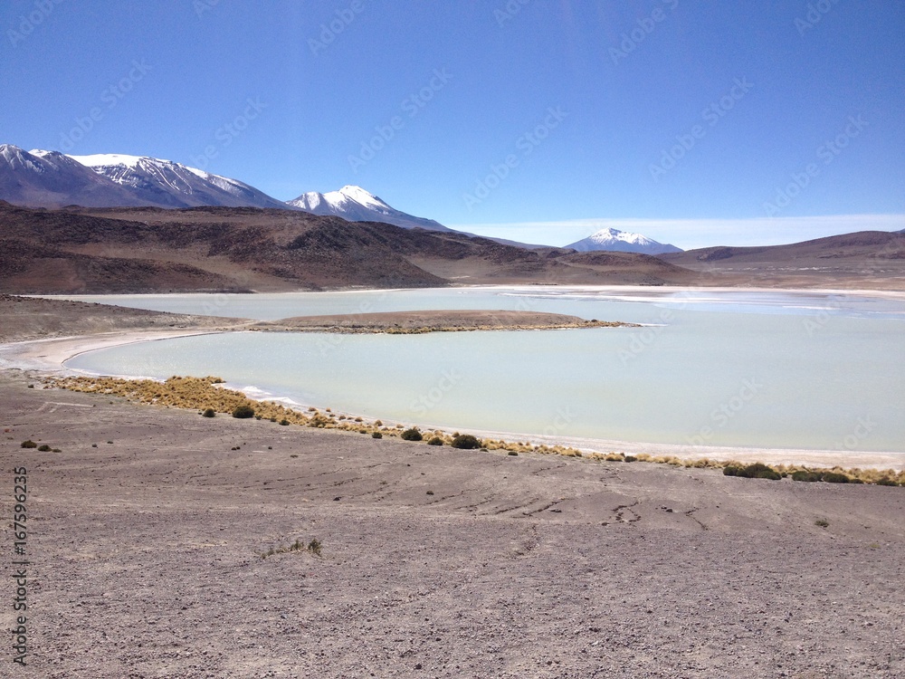 Paysage Lagunas Coloradas Sud Bolivie Sud Lipez  