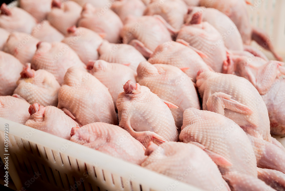Fototapeta premium Fresh chicken bodies in a basket